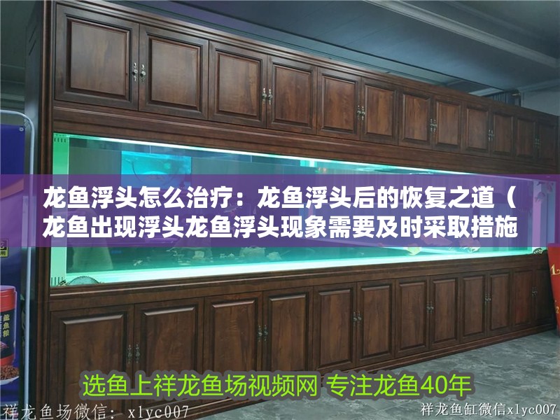 龍魚浮頭怎么治療：龍魚浮頭后的恢復之道（龍魚出現浮頭龍魚浮頭現象需要及時采取措施進行調整）