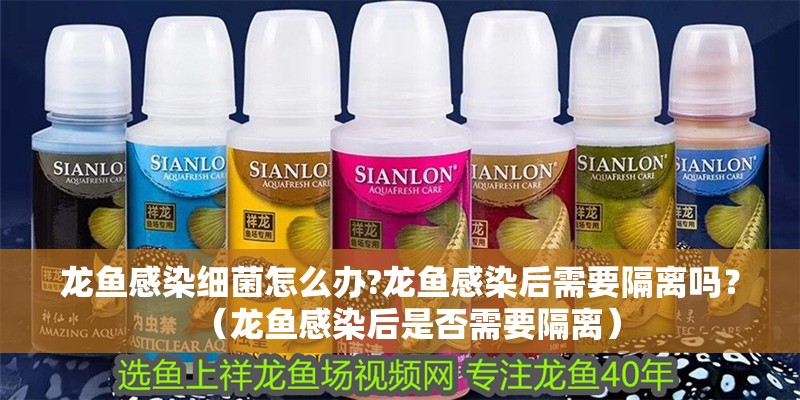 龍魚(yú)感染細(xì)菌怎么辦?龍魚(yú)感染后需要隔離嗎？（龍魚(yú)感染后是否需要隔離）