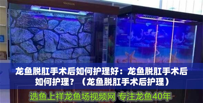 龍魚(yú)脫肛手術(shù)后如何護(hù)理好：龍魚(yú)脫肛手術(shù)后如何護(hù)理？（龍魚(yú)脫肛手術(shù)后護(hù)理）