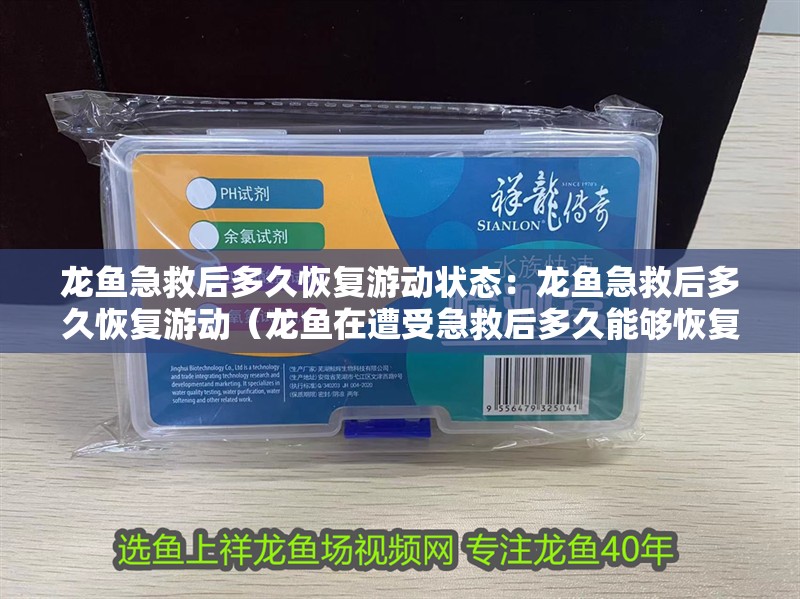 龍魚急救后多久恢復游動狀態：龍魚急救后多久恢復游動（龍魚在遭受急救后多久能夠恢復游動）
