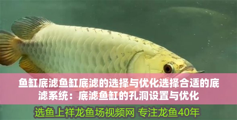 魚缸底濾魚缸底濾的選擇與優(yōu)化選擇合適的底濾系統(tǒng)：底濾魚缸的孔洞設(shè)置與優(yōu)化