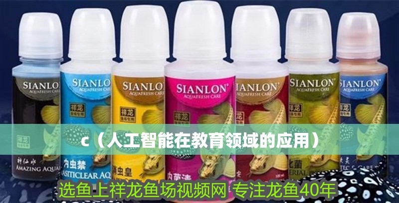 c（人工智能在教育領域的應用）