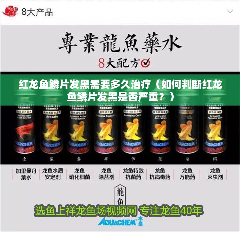 紅龍魚鱗片發黑需要多<strong><mark>久治</mark></strong>療（如何判斷紅龍魚鱗片發黑是否嚴重？）