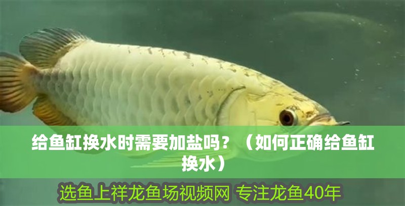 給魚缸換水時(shí)需要加鹽嗎？（如何正確給魚缸換水）