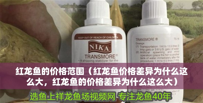 紅龍魚的價格范圍（紅龍魚價格差異為什么這么大，紅龍魚的價格差異為什么這么大）