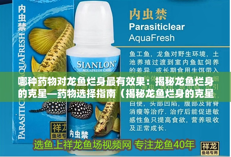 哪種藥物對龍魚爛身最有效果：揭秘龍魚爛身的克星—藥物選擇指南（揭秘龍魚爛身的克星—藥物選擇指南—藥物）