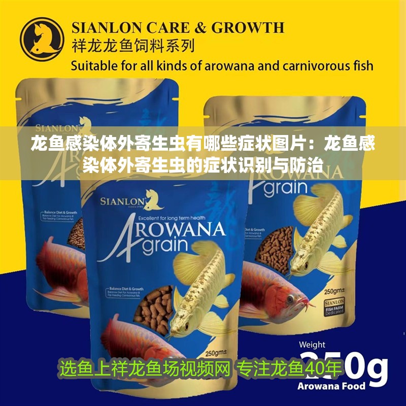 龍魚感染體外寄生蟲有哪些癥狀圖片：龍魚感染體外寄生蟲的癥狀識別與防治