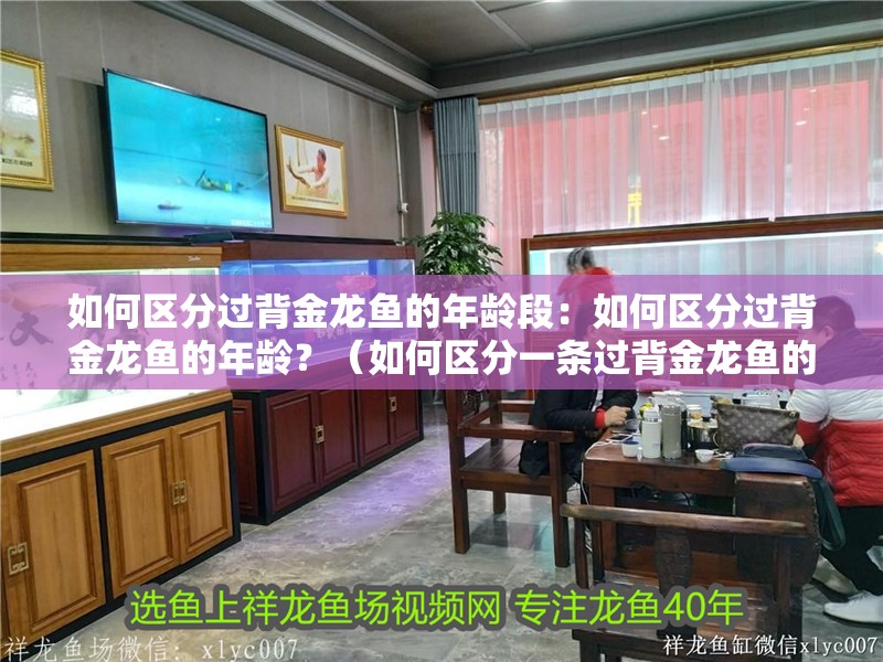 如何區分過背金龍魚的年齡段：如何區分過背金龍魚的年齡？（如何區分一條過背金龍魚的年齡）