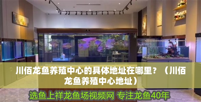 川佰龍魚養殖中心的具體地址在哪里？（川佰龍魚養殖中心地址）