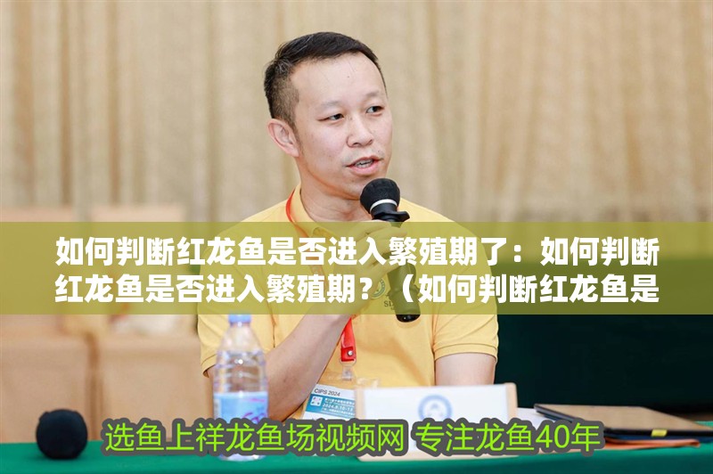 如何判斷紅龍魚是否進入繁殖期了：如何判斷紅龍魚是否進入繁殖期？（如何判斷紅龍魚是否進入了繁殖期）