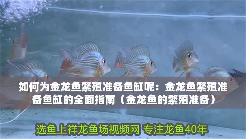 如何為金龍魚繁殖準(zhǔn)備魚缸呢：金龍魚繁殖準(zhǔn)備魚缸的全面指南（金龍魚的繁殖準(zhǔn)備）