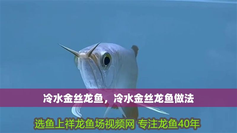 冷水金絲龍魚，冷水金絲龍魚做法