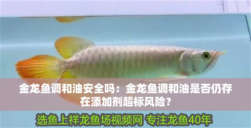 金龍魚調(diào)和油安全嗎：金龍魚調(diào)和油是否仍存在添加劑超標風險？