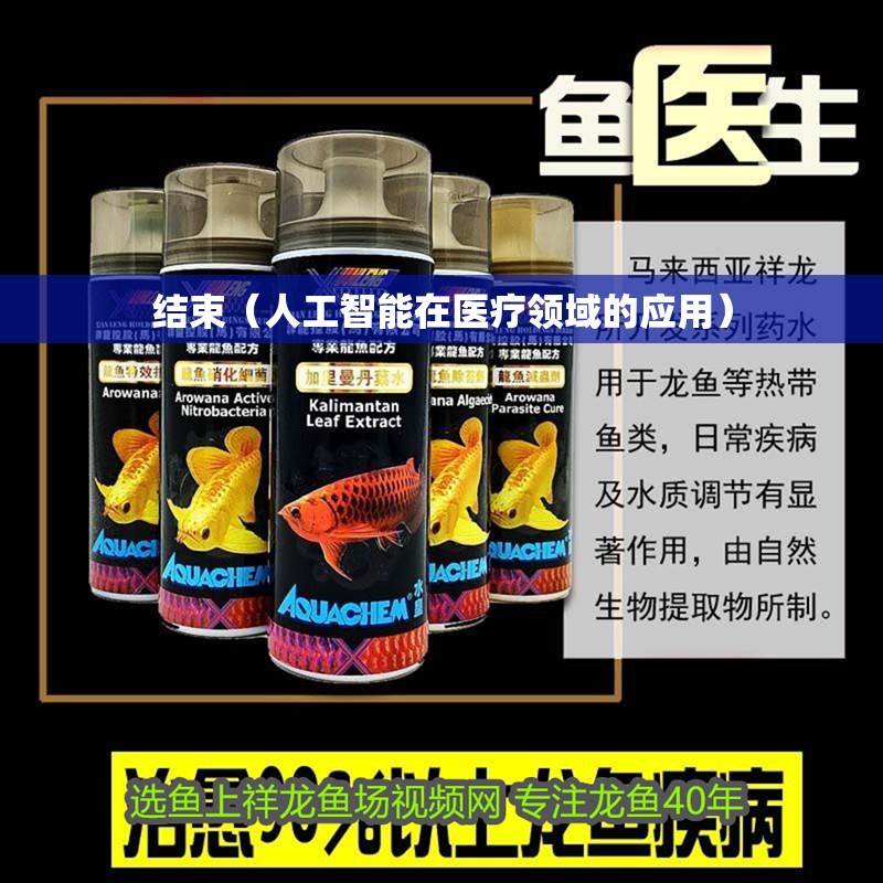 結(jié)束（人工智能在醫(yī)療領(lǐng)域的應(yīng)用）