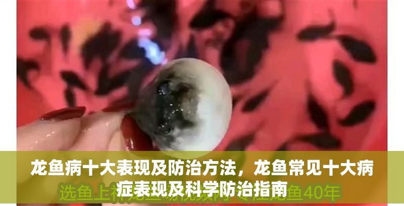 龍魚病十大表現及防治方法，龍魚常見十大病癥表現及科學防治指南