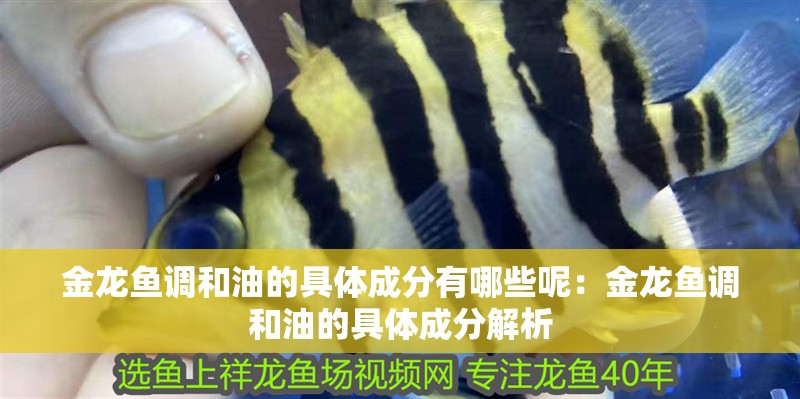 金龍魚調(diào)和油的具體成分有哪些呢：金龍魚調(diào)和油的具體成分解析