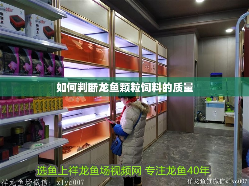 如何判斷龍魚顆粒飼料的質量