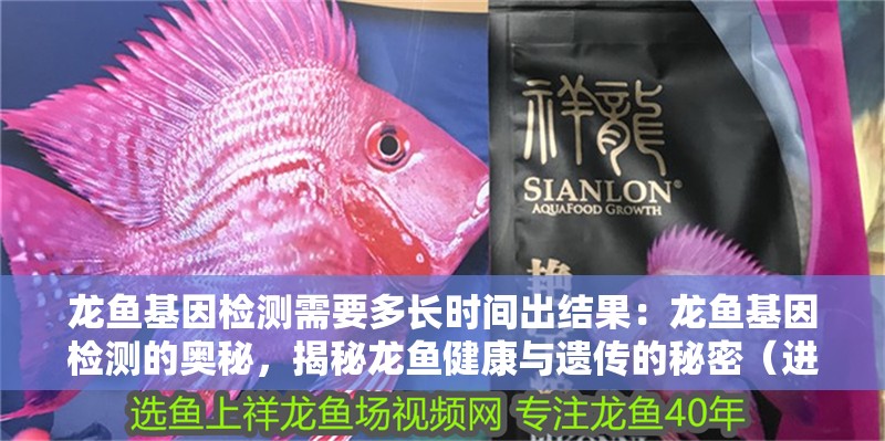 龍魚基因檢測需要多長時間出結果：龍魚基因檢測的奧秘，揭秘龍魚健康與遺傳的秘密（進行龍魚基因檢測究竟需要多長時間？）