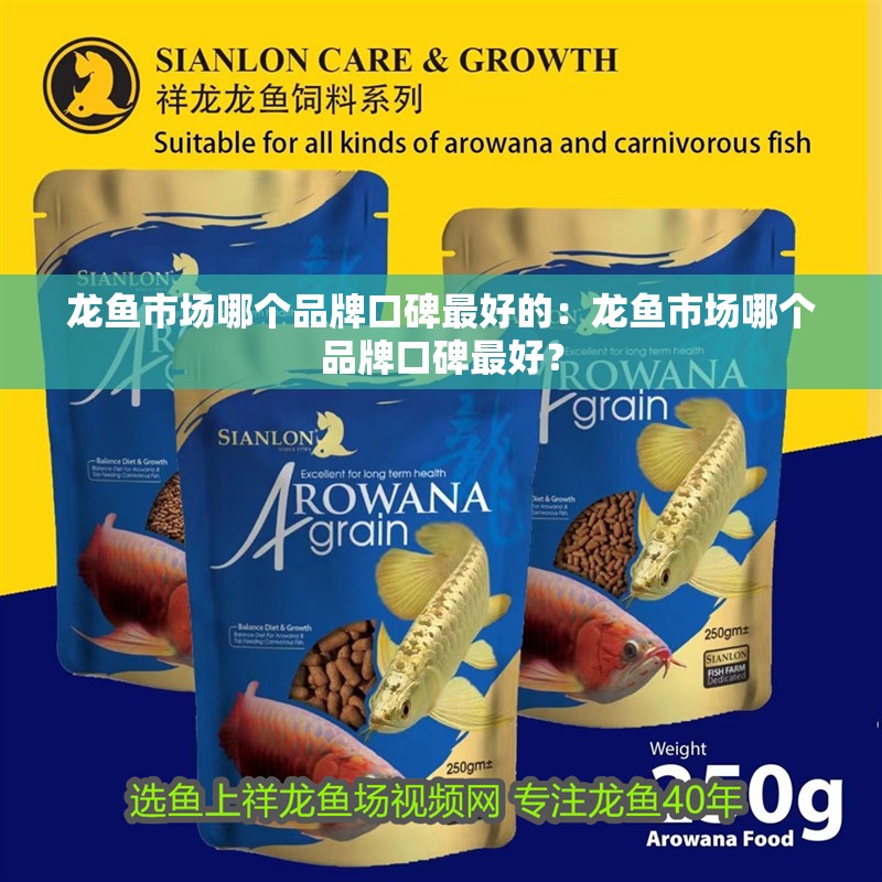 龍魚市場哪個品牌口碑最好的：龍魚市場哪個品牌口碑最好？