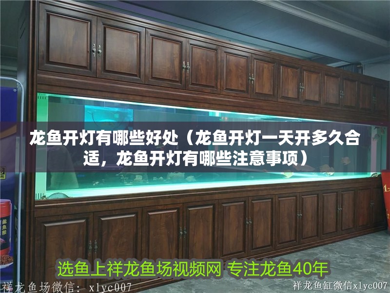 龍魚開燈有哪些好處（龍魚開燈一天開多久合適，龍魚開燈有哪些注意事項(xiàng)）