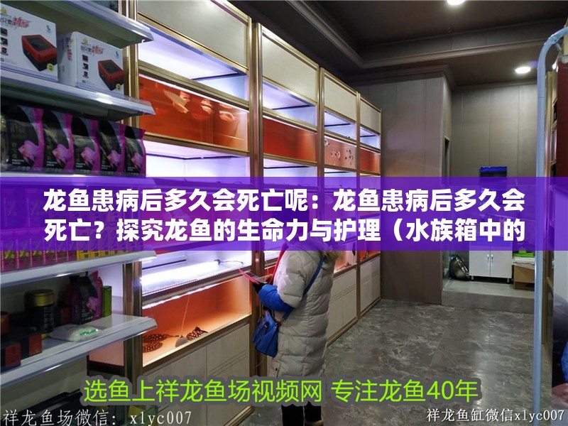 龍魚患病后多久會(huì)死亡呢：龍魚患病后多久會(huì)死亡？探究龍魚的生命力與護(hù)理（水族箱中的明星成員——龍魚）