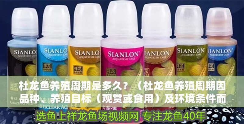 杜龍魚養殖周期是多久？（杜龍魚養殖周期因品種、養殖目標（觀賞或食用）及環境條件而異）