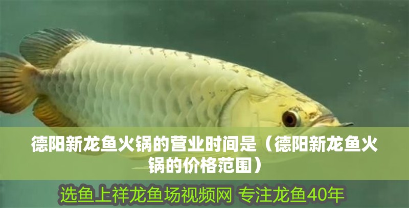 德陽(yáng)新龍魚火鍋的營(yíng)業(yè)時(shí)間是（德陽(yáng)新龍魚火鍋的價(jià)格范圍）