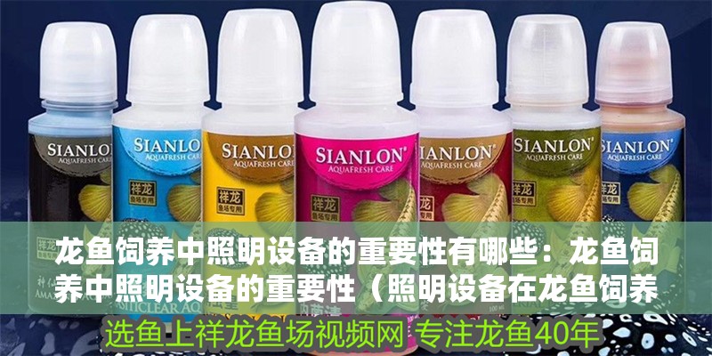 龍魚飼養(yǎng)中照明設(shè)備的重要性有哪些：龍魚飼養(yǎng)中照明設(shè)備的重要性（照明設(shè)備在龍魚飼養(yǎng)中的作用）