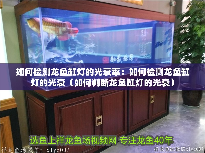 如何檢測龍魚缸燈的光衰率：如何檢測龍魚缸燈的光衰（如何判斷龍魚缸燈的光衰）