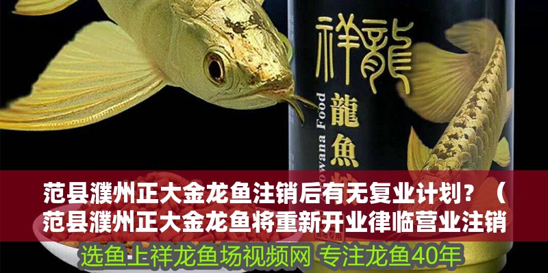 范縣濮州正大金龍魚注銷后有無復業計劃？（范縣濮州正大金龍魚將重新開業律臨營業注銷還能恢復嗎）