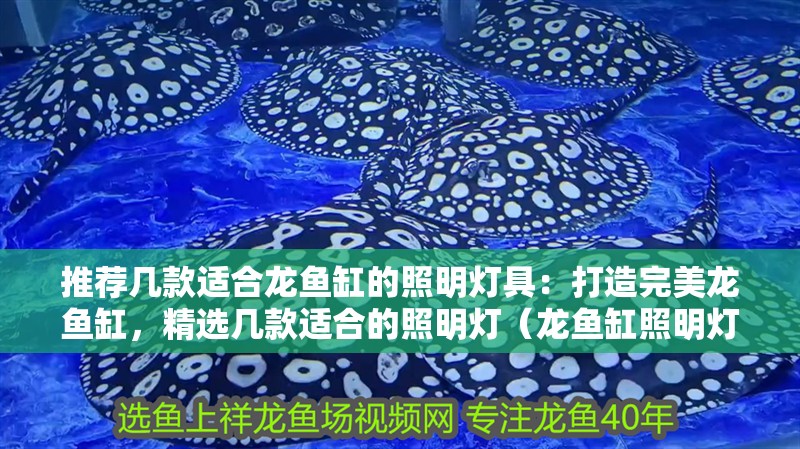 推薦幾款適合龍魚缸的照明燈具：打造完美龍魚缸，精選幾款適合的照明燈（龍魚缸照明燈光照明燈具推薦：適合龍魚缸照明燈具）