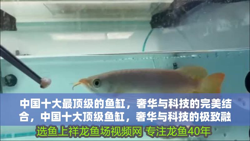 中國十大最頂級的魚缸，奢華與科技的完美結合，中國十大頂級魚缸，奢華與科技的極致融合