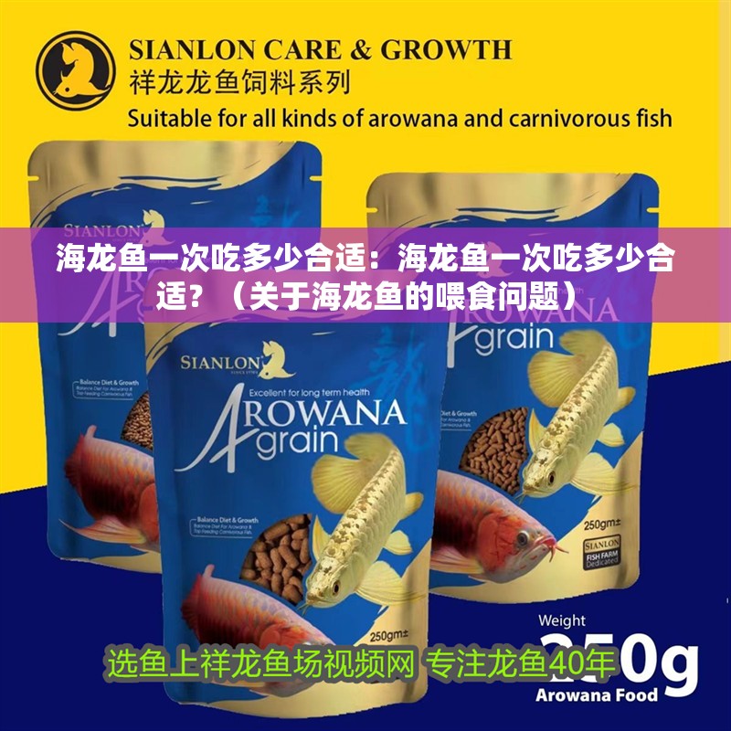 海龍魚一次吃多少合適：海龍魚一次吃多少合適？（關于海龍魚的喂食問題）