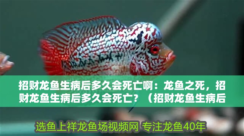 招財龍魚生病后多久會死亡?。糊堲~之死，招財龍魚生病后多久會死亡？（招財龍魚生病后多久會死亡）