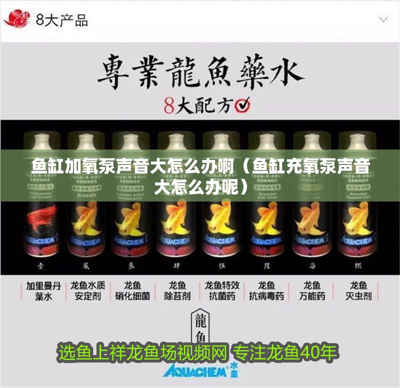 魚缸加氧泵聲音大怎么辦啊（魚缸充氧泵聲音大怎么辦呢）