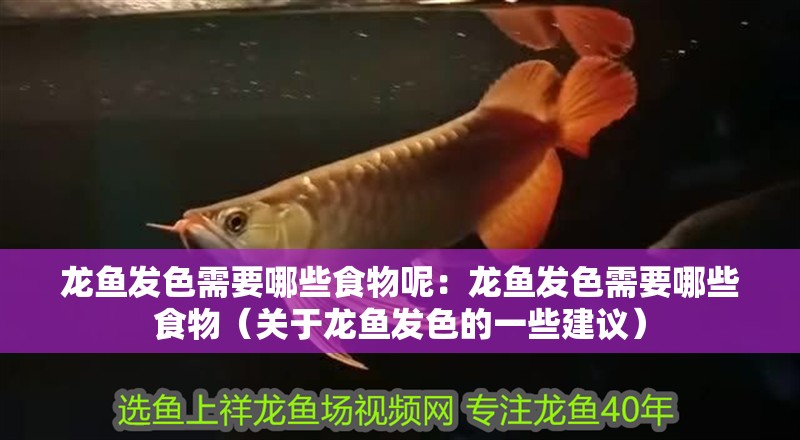 龍魚發色需要哪些食物呢：龍魚發色需要哪些食物（關于龍魚發色的一些建議）