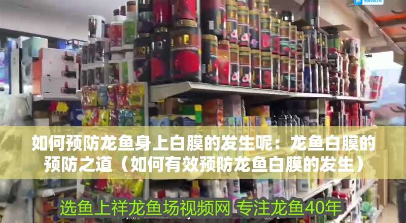 如何預(yù)防龍魚身上白膜的發(fā)生呢：龍魚白膜的預(yù)防之道（如何有效預(yù)防龍魚白膜的發(fā)生）