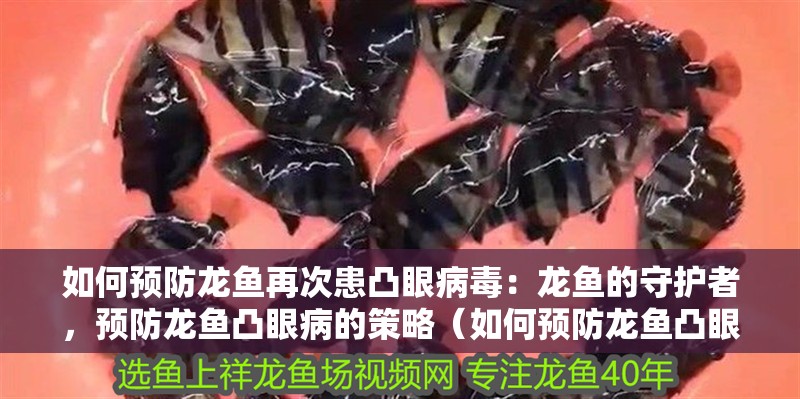 如何預防龍魚再次患凸眼病毒：龍魚的守護者，預防龍魚凸眼病的策略（如何預防龍魚凸眼病）