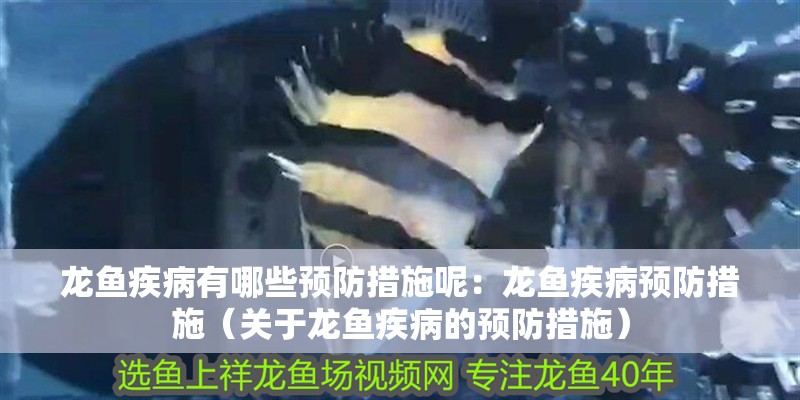 龍魚疾病有哪些預防措施呢：龍魚疾病預防措施（關于龍魚疾病的預防措施）