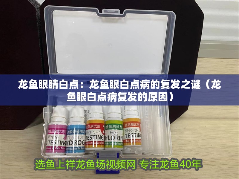 龍魚眼睛白點：龍魚眼白點病的復發之謎（龍魚眼白點病復發的原因）