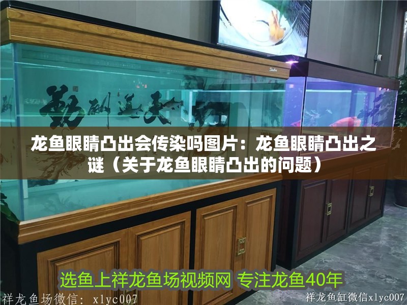 龍魚(yú)眼睛凸出會(huì)傳染嗎圖片：龍魚(yú)眼睛凸出之謎（關(guān)于龍魚(yú)眼睛凸出的問(wèn)題）