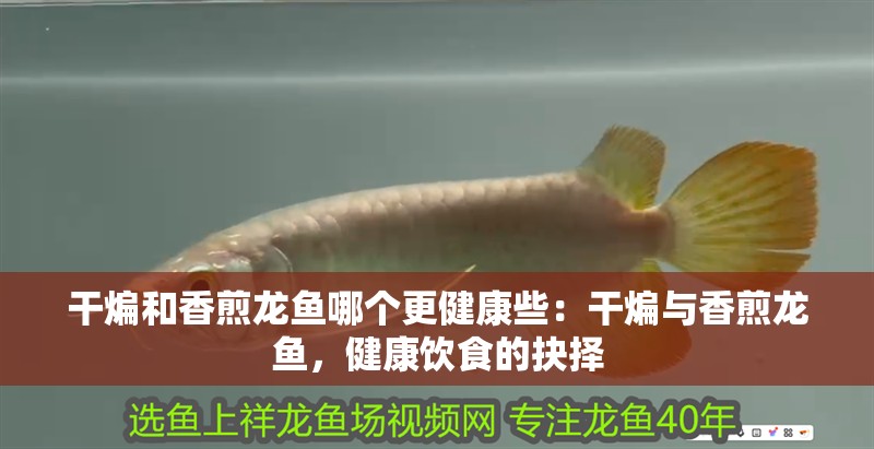 干煸和香煎龍魚哪個更健康些：干煸與香煎龍魚，健康飲食的抉擇