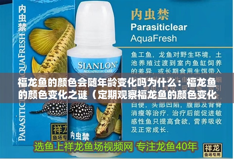 福龍魚的顏色會(huì)隨年齡變化嗎為什么：福龍魚的顏色變化之謎（定期觀察福龍魚的顏色變化對(duì)福龍魚顏色的影響是否受影響）