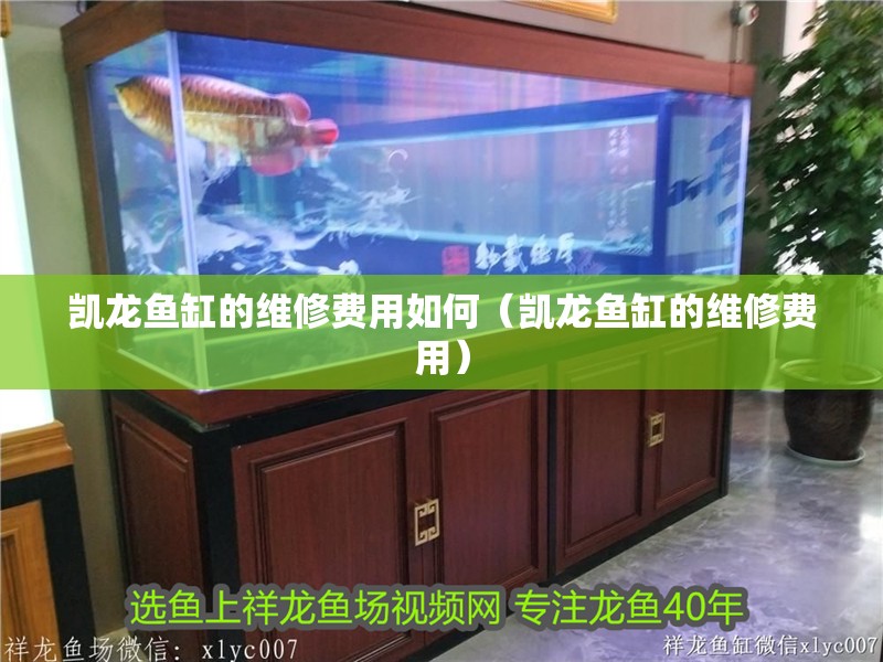 凱龍魚缸的維修費用如何（凱龍魚缸的維修費用）