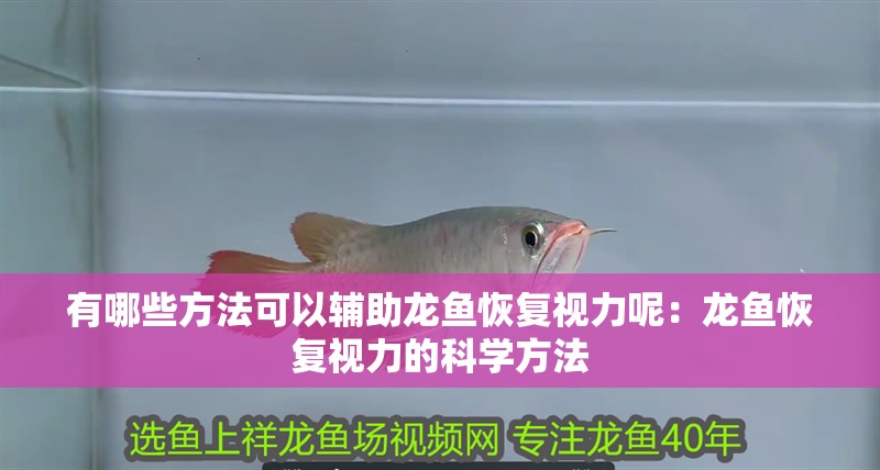 有哪些方法可以輔助龍魚恢復視力呢：龍魚恢復視力的科學方法
