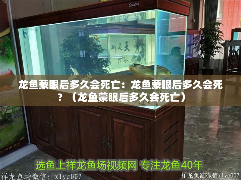 龍魚蒙眼后多久會死亡：龍魚蒙眼后多久會死？（龍魚蒙眼后多久會死亡）