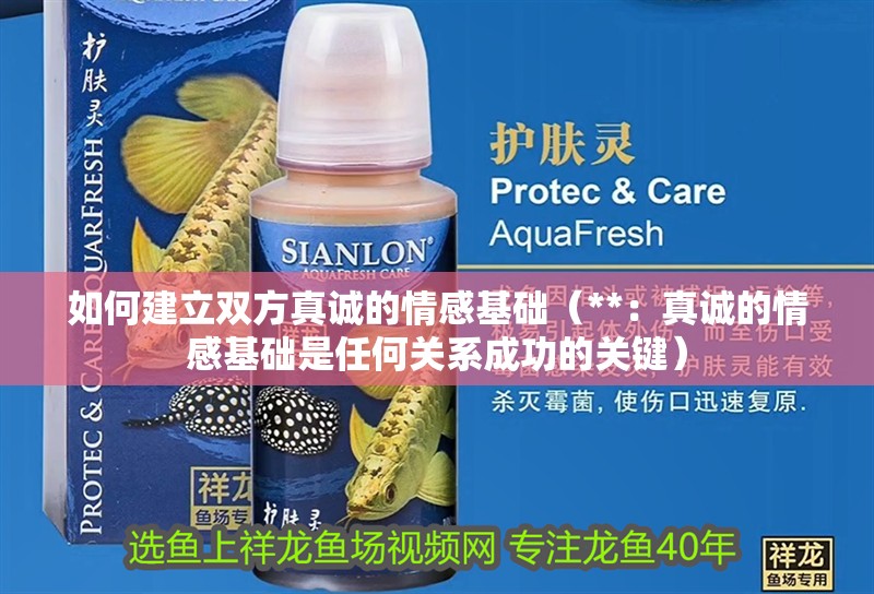 如何建立雙方真誠的情感基礎（**：真誠的情感基礎是任何關系成功的關鍵）
