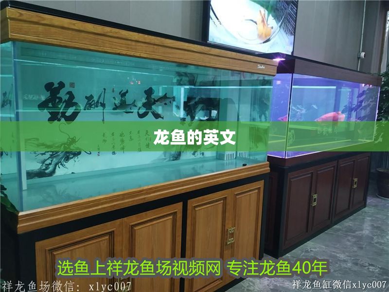 龍魚的英文