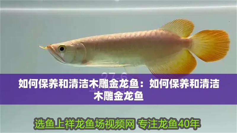 如何保養和清潔木雕金龍魚：如何保養和清潔木雕金龍魚
