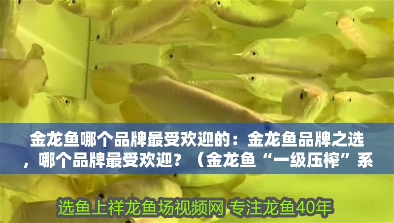 金龍魚哪個品牌最受歡迎的：金龍魚品牌之選，哪個品牌最受歡迎？（金龍魚“一級壓榨”系列產(chǎn)品成為市場上最受歡迎的品牌）